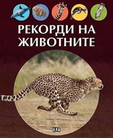 ���������� � � ������
